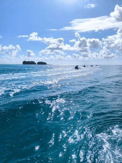 A clear blue sea with a boat in the distance and a small island with trees. 2