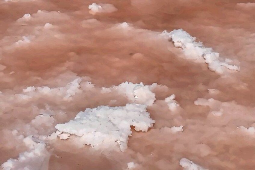 A close-up of a textured surface with irregular white patches. 3