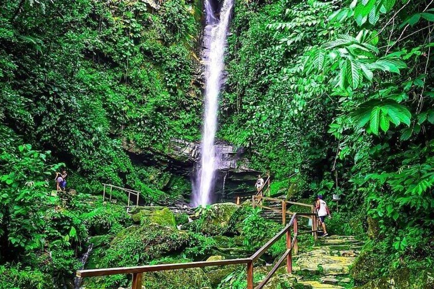 A waterfall surrounded by lush greenery, wooden walkways, and a rocky ledge. 1