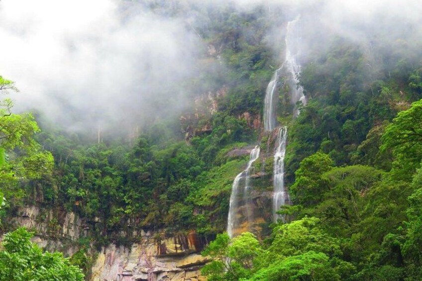 A waterfall cascading down a cliff surrounded by dense green forest. 5