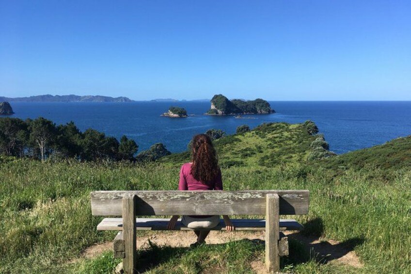 A person sitting on a bench overlooking a coastal landscape with hills and the sea. 5