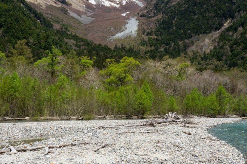 A rocky riverbank with sparse vegetation and a distant mountain range. 5