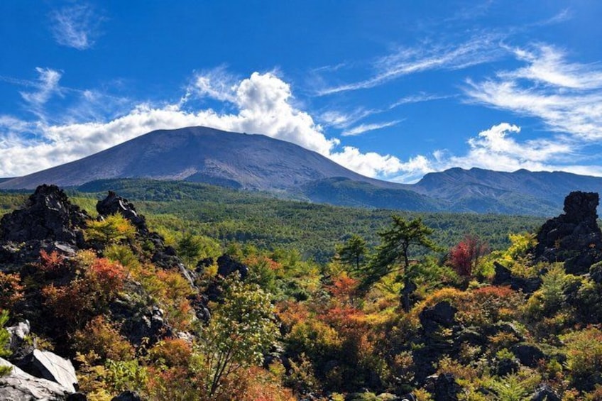A mountain with a forested foreground and a clear sky. 4