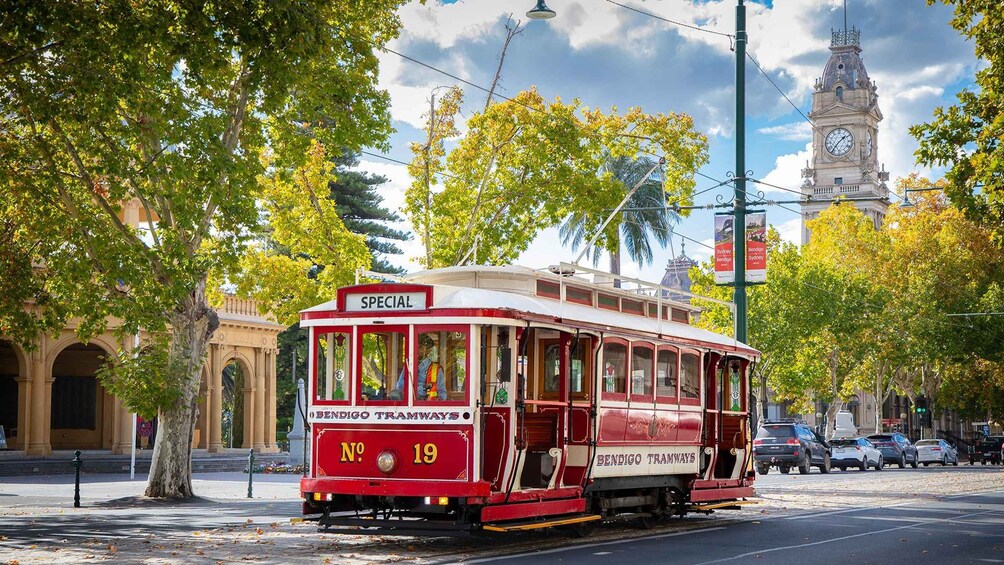 Un tranvía rojo y blanco con la leyenda 'SPECIAL' y 'BENDIGO TRAMWAYS', estacionado en una calle con árboles y una torre del reloj al fondo. 5
