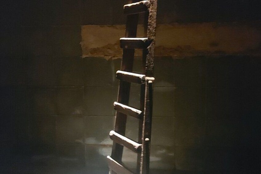 A metal ladder leaning against a wall with peeling paint. 4