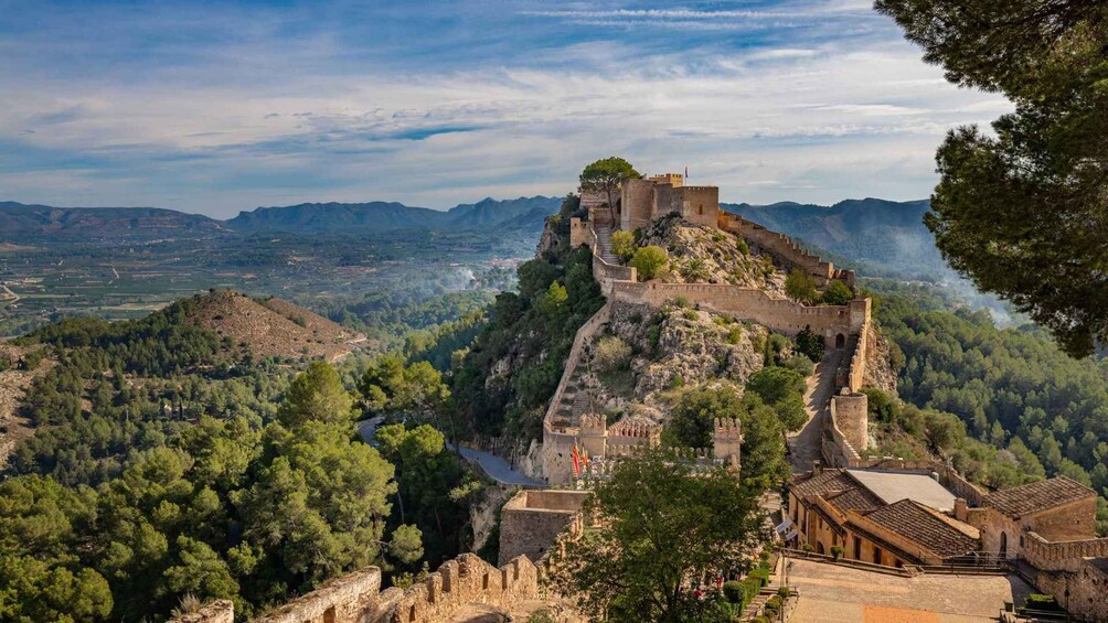 A historic stone fortress on a hill with a surrounding forest, overlooking a valley. 1