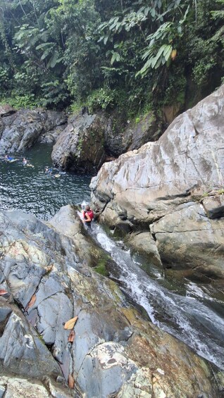 Picture 5 for Activity PR Rainforest Tour & Beach Adventure 3