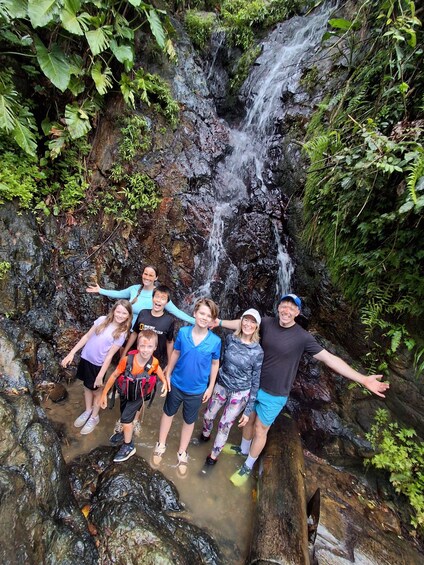 Picture 9 for Activity PR Rainforest Tour & Beach Adventure 4