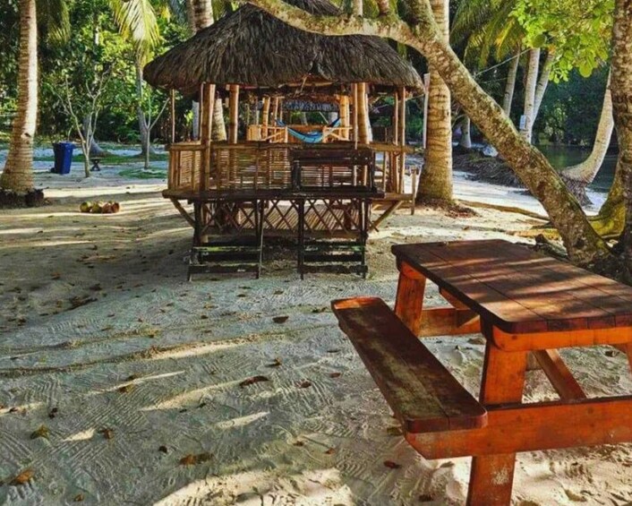 A wooden structure with a thatched roof, a picnic table, and a hammock. 4