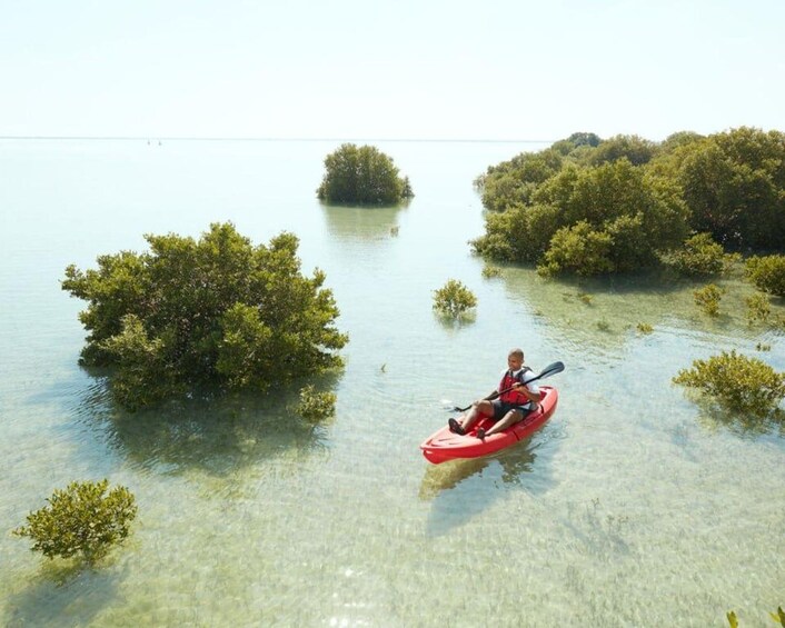 A person kayaking in clear shallow water surrounded by mangrove islands. 5