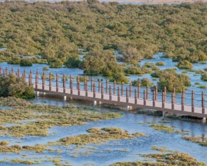 A bridge over a water body with dense vegetation. 3