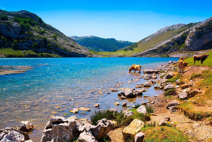Un lago de montaña con agua azul cristalina, rodeado de costas rocosas y colinas verdes. 1