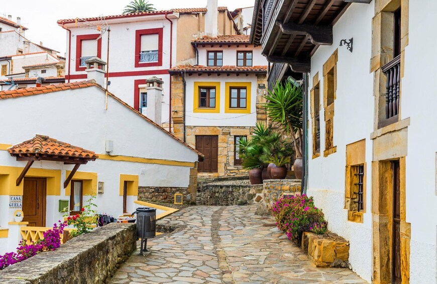 Una estrecha calle adoquinada flanqueada por edificios coloridos, un muro de piedra y macetas con plantas. 5