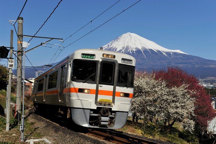 A train with a snow-capped mountain in the background. 3