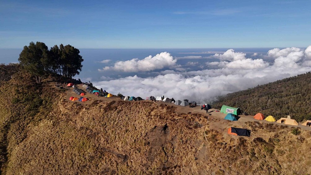 Eine gebirgige Landschaft mit einer Reihe bunter Zelte, die an einem Hang mit Blick auf eine Wolkenmeer aufgeschlagen sind. 1
