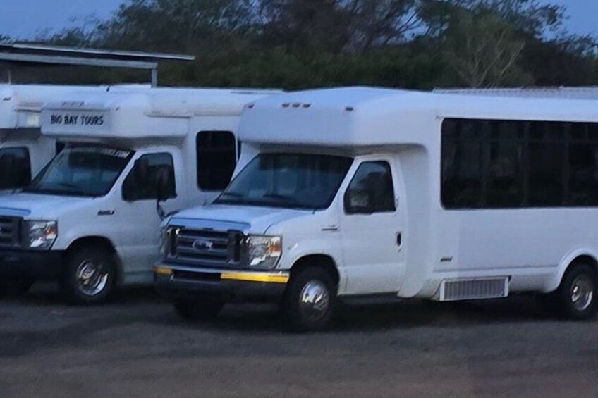 A row of white RVs parked in a lot. 3