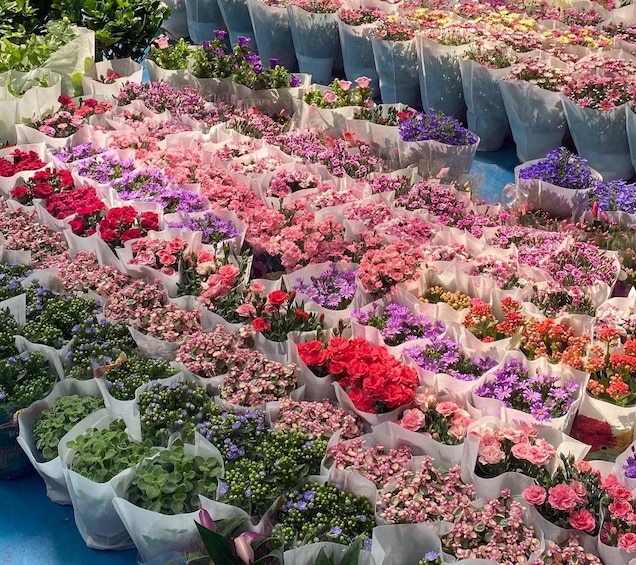 Een markt met rijen potplanten en bloemen. 2