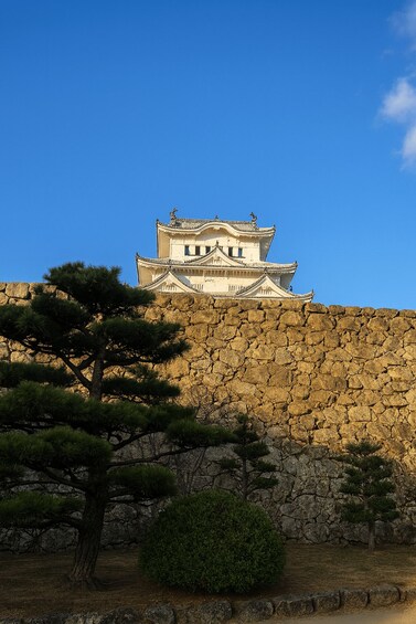 A traditional Japanese castle with a stone wall and pine trees in the foreground. 3
