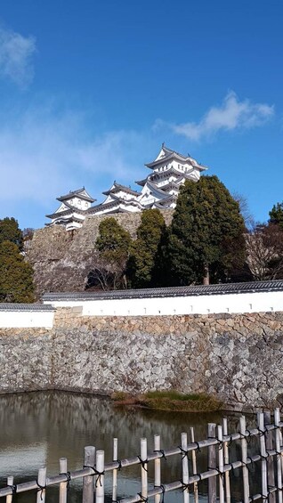 A traditional Japanese castle with multiple tiers, surrounded by trees and a stone wall. 1