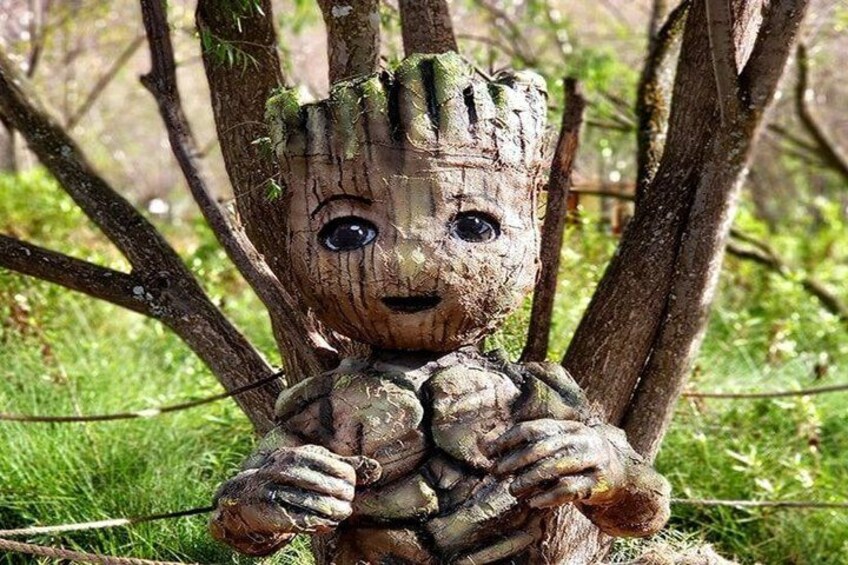 A tree with a carved face and hands. 4