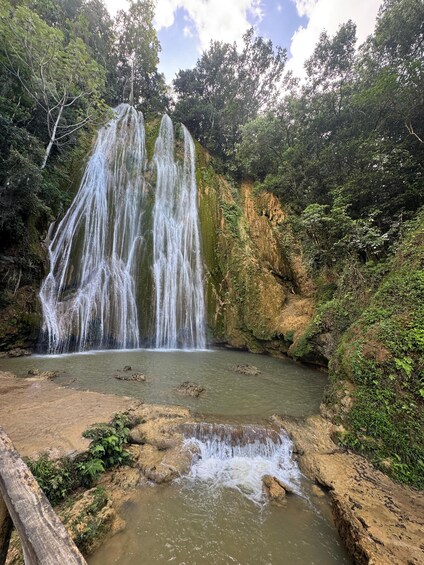 Una cascada que cae en una poza rodeada de un bosque denso. 3
