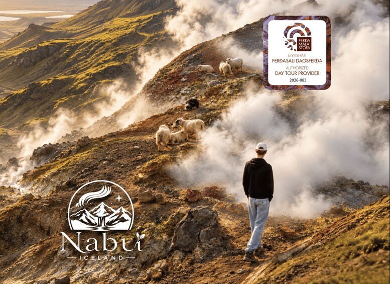 Un paysage montagneux où l’on voit une personne debout, qui observe un troupeau de moutons. On aperçoit un logo avec le texte « Nabti Iceland » et un label de certification pour « Ferda Mala Stofa ». 1