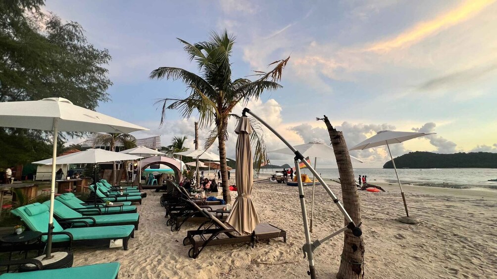 A beach with lounge chairs, umbrellas, and a palm tree. 1