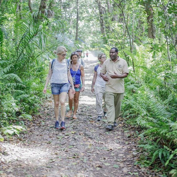 A group of people walking on a forest path surrounded by dense greenery. 5