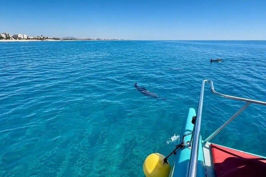 Hammamet Catamaran Sea Escape Experience 3