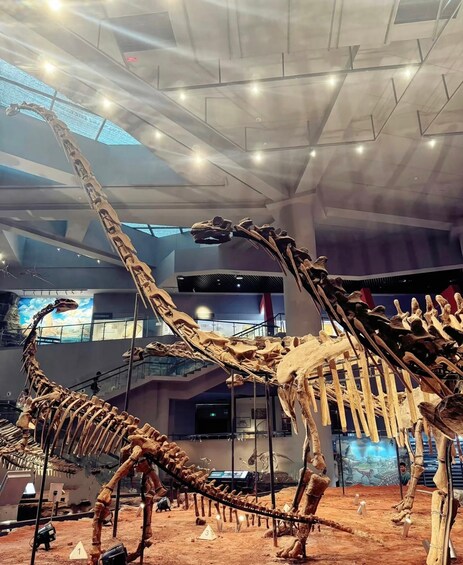 Dinosaurusnäyttely, jossa on esillä dinosaurusten luurankomalleja museossa. 3