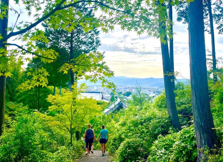 Een wandelpad met weelderige begroeiing en een zicht op een stadsbeeld in de verte. 5