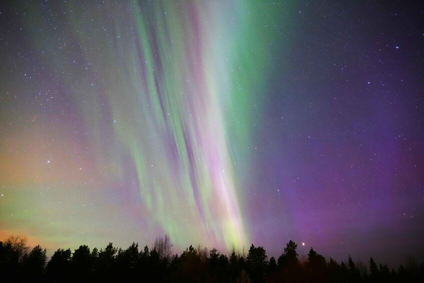 Revontulet metsäisen maiseman yllä. 2