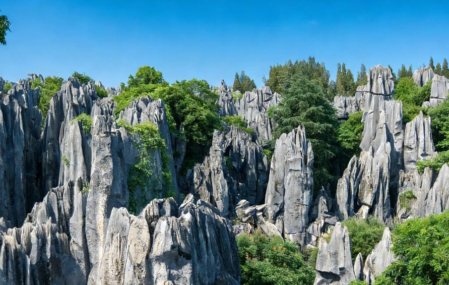 A rugged landscape with tall, jagged rock formations and dense green foliage. 3