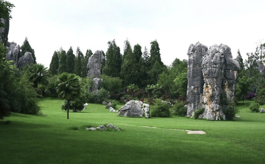 A grassy field with large rock formations and trees. 2
