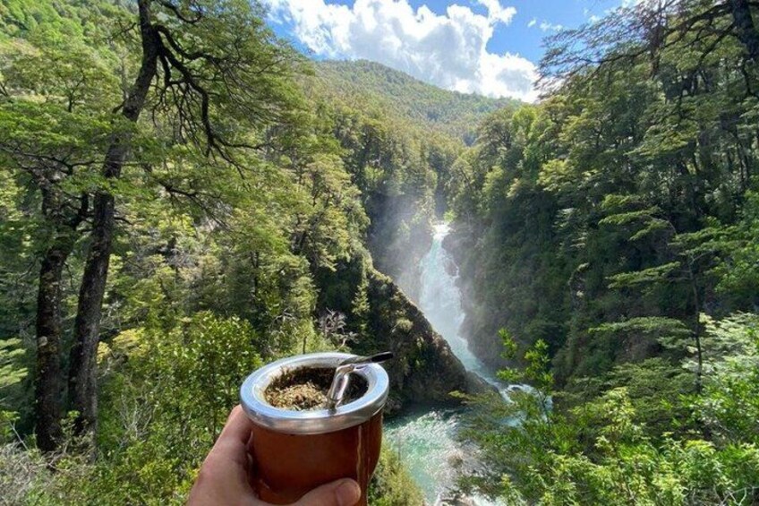 A hand holding a cup with a beverage, overlooking a forested valley with a river. 1