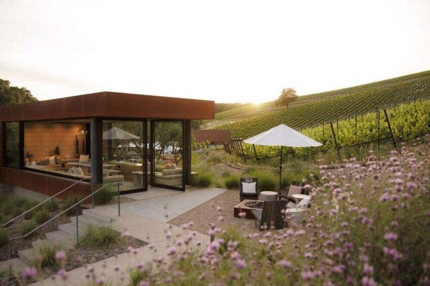 A modern house with a glass facade, outdoor seating, and a vineyard in the background. 4