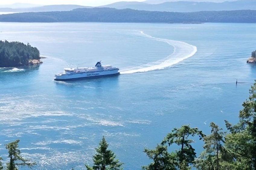 A cruise ship on a calm body of water with a forested island in the background. 4