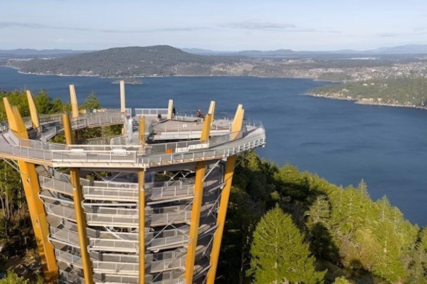 A circular observation tower with a viewing platform, surrounded by trees and overlooking a body of water. 5
