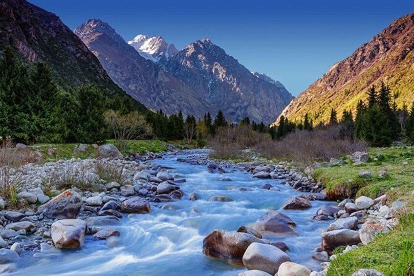 A river with rocks, surrounded by mountains and trees. 1