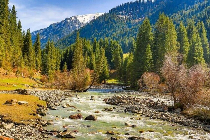 A river flowing through a mountainous area with dense forests and snow-capped peaks in the background. 3