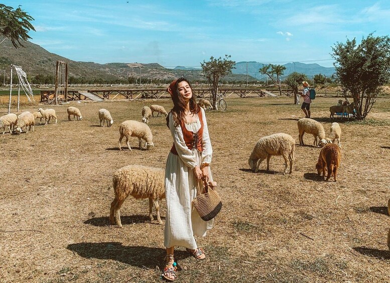 A person in a white dress standing in a field with sheep, with a hilly landscape in the background. 2
