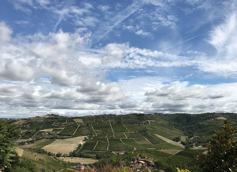 A landscape with rolling hills, vineyards, and scattered houses under a partly cloudy sky. 5