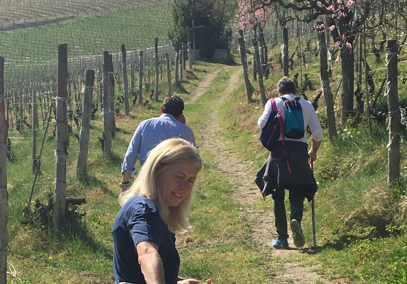A vineyard path with people walking. 2
