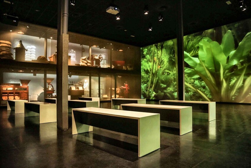 A modern interior with tables, a projection screen displaying a jungle scene, and industrial-style lighting. 2