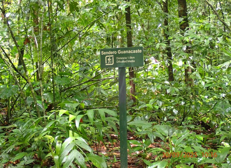 Un panneau de signalisation vert, orné d’un symbole représentant une personne qui marche, indiquant une distance de 1 km jusqu’à Sendero Guanacaste. 3