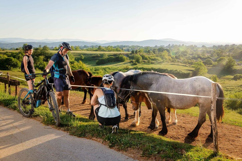 A person riding a mountain bike on a dirt path with horses in the background. 3