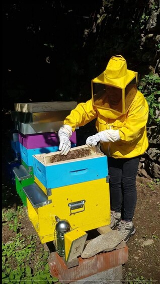 Monte Rosa: walk, alpine picnic, and honey food tasting in Macugnaga 1