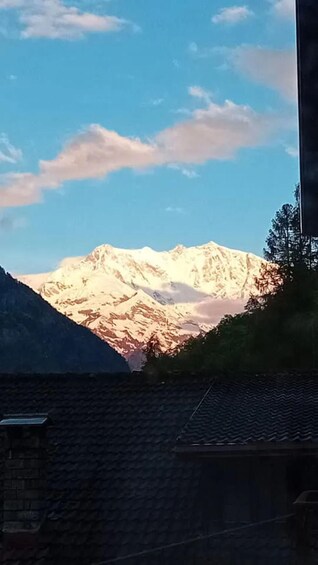 Picture 2 for Activity Monte Rosa: walk, alpine picnic, and honey food tasting in Macugnaga 2