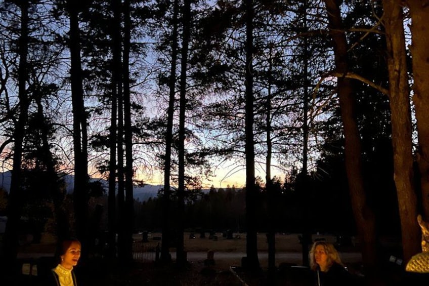 A forest with tall trees and a sunset in the background. 5