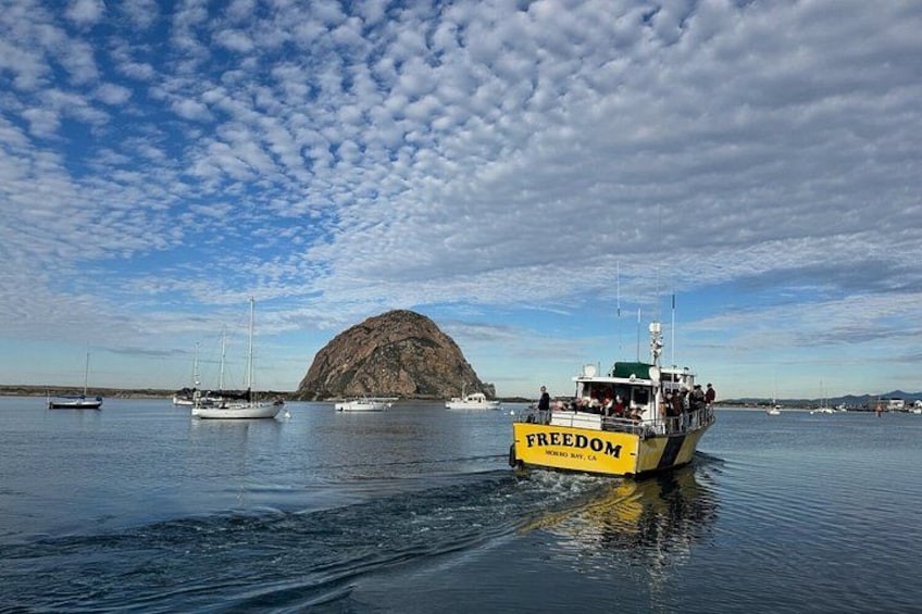 A ferry named Freedom on calm waters with a rocky island in the background. 3